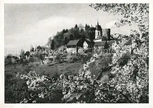 AK / Ansichtskarte Lindenfels_Odenwald Panorama mit Burg Lindenfels Odenwald