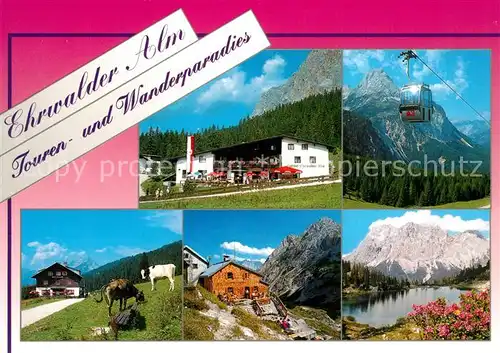 AK / Ansichtskarte Ehrwald_Tirol Ehrwalder Alm Bergsee Zugspitze Wettersteingebirge Ehrwald Tirol