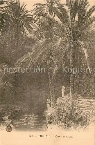 AK / Ansichtskarte Tunis Oasis de Gabes Tunis