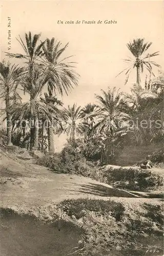 AK / Ansichtskarte Gabes Oasis Gabes