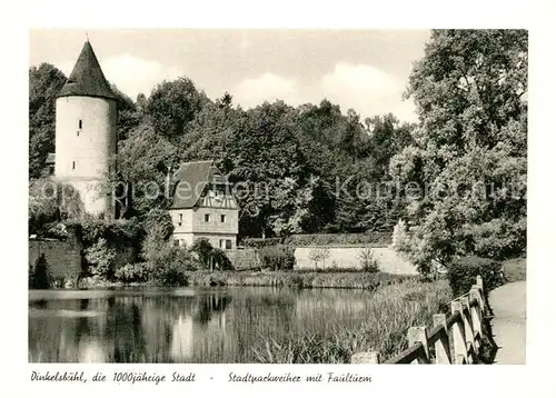 AK / Ansichtskarte Dinkelsbuehl Stadtparkweiher mit Faulturm Dinkelsbuehl