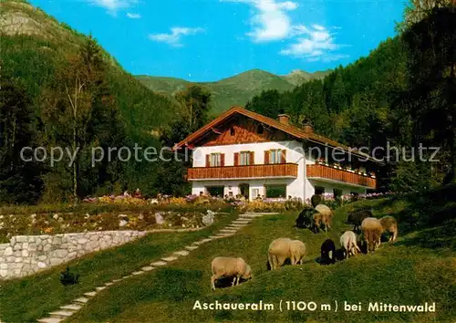 AK / Ansichtskarte Mittenwald_Bayern Aschauer Alm Mittenwald Bayern