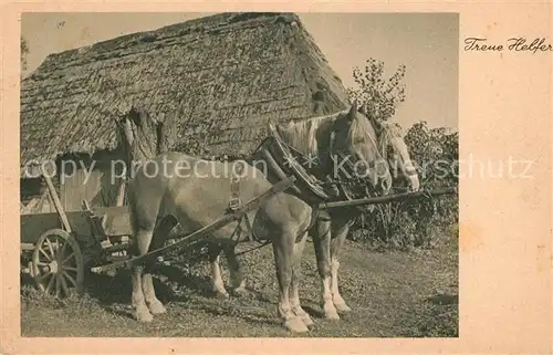 AK / Ansichtskarte Pferde Landwirtschaft  