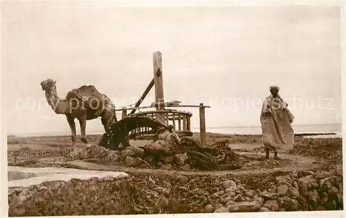 AK / Ansichtskarte Scenes_et_Types_Nr. 594 Noria dans le Sud Kamel Scenes_et_Types_Nr.