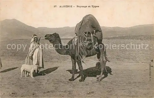 AK / Ansichtskarte Kamele Algerie Paysage et Types  