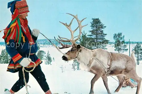 AK / Ansichtskarte Rentier Lappe Suomi Finland 