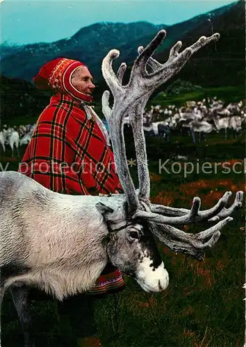 AK / Ansichtskarte Rentier Lapp Woman Reindeer Norway  