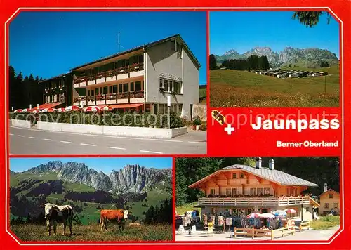 AK / Ansichtskarte Jaunpass Hotel des Alpes Camping Gastlosen Kiosk Jaunpass