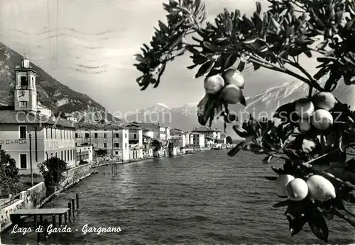 AK / Ansichtskarte Gargnano_Lago_di_Garda Haeuserpartie am Gardasee Zitrusfruechte Gargnano_Lago_di_Garda