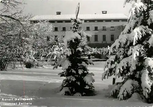 AK / Ansichtskarte Gallspach Institut Zelleis Gallspach