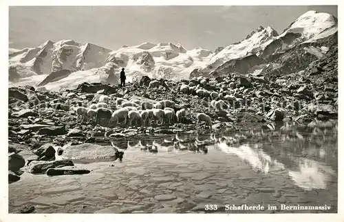 AK / Ansichtskarte Bernina_GR Schafherde im Berninamassiv Bernina_GR