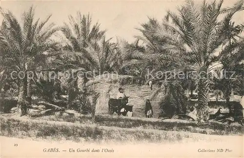 AK / Ansichtskarte Gabes Un Gourbi dans Oasis Gabes