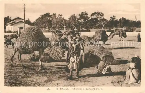 AK / Ansichtskarte Gabes Chameaux parteurs Alfa Gabes