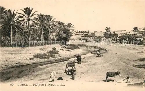 AK / Ansichtskarte Gabes Vue prise a Djara Gabes