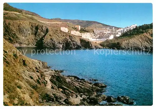 AK / Ansichtskarte Cerbere Les Aloes Cerbere