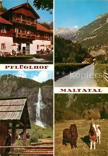 AK / Ansichtskarte Maltatal_Kaernten Alpenhotel Pflueglhof Wasserfall Strasse Ponys Maltatal Kaernten