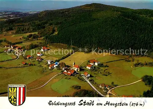 AK / Ansichtskarte Stadl_Mur Gasthof Pension Zum Haugstein Fliegeraufnahme Stadl_Mur