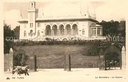 AK / Ansichtskarte Tunis Le Belvedere le Casino Tunis