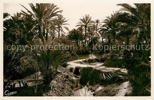 AK / Ansichtskarte Gabes Oasis de Menzel Gabes