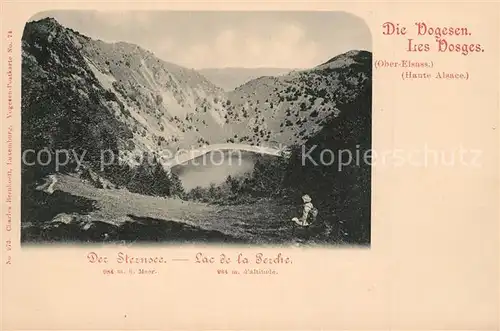 AK / Ansichtskarte Sternsee_Lac_de Perche_Elsass Panorama 