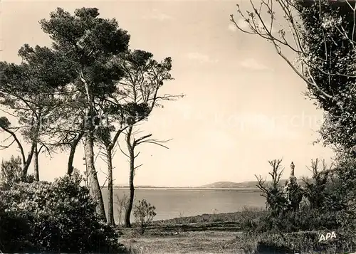AK / Ansichtskarte Palavas les Flots_Herault Maguelonne la Vierge les Pins la Mer Palavas les Flots_Herault
