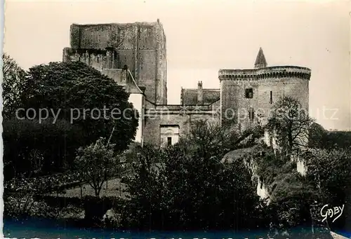 AK / Ansichtskarte Loches_Indre_et_Loire Donjan Tour Louis XV Loches_Indre_et_Loire