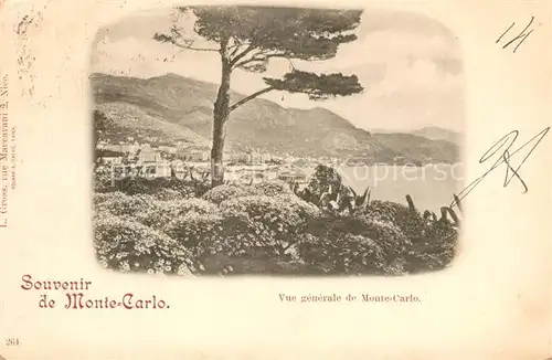 Monte Carlo Vue generale Monte Carlo