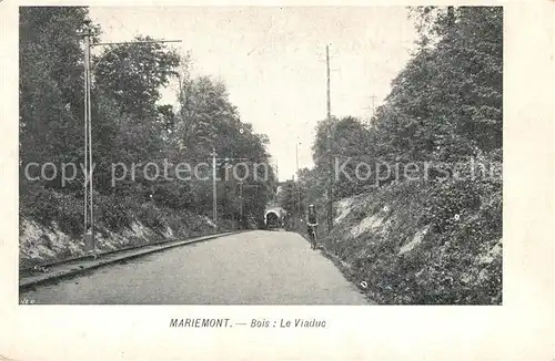 AK / Ansichtskarte Mariemont_Hainaut Bois Le Viaduc Mariemont Hainaut