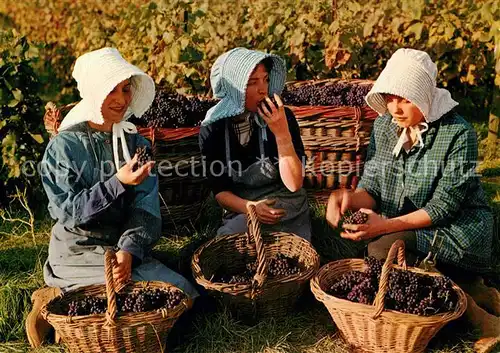 AK / Ansichtskarte Ernte_Landwirtschaft Weinlese Paysages Chamoenois 