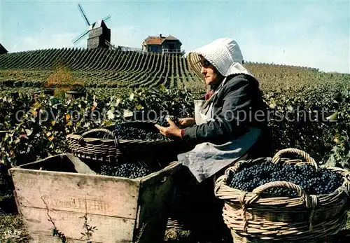 AK / Ansichtskarte Ernte_Landwirtschaft Weinlese Vendanges en Champagne 