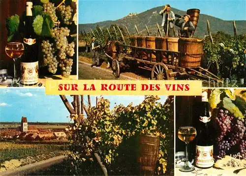 AK / Ansichtskarte Wein Alsace Route des Vins  Wein