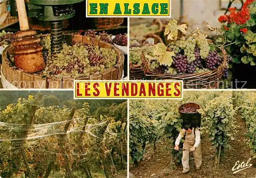 AK / Ansichtskarte Ernte_Landwirtschaft Weinlese Alsace Vendanges  
