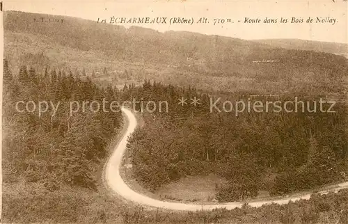 AK / Ansichtskarte Les Echarmeaux Route dans les Bois de Nollay 