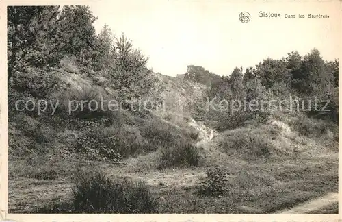 AK / Ansichtskarte Chaumont_Namur Gistoux Dans les Bruyeres Chaumont Namur