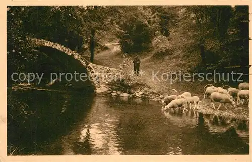 AK / Ansichtskarte Rentieres Pont de la Chicane des moutons Rentieres