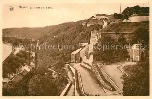 AK / Ansichtskarte Namur_sur_Meuse Le Tienne des Biches Namur_sur_Meuse