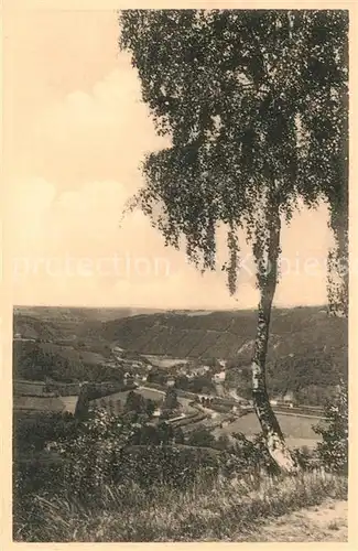AK / Ansichtskarte Nessonvaux Vue panoramique prise sur la route de Banneux Notre Dame Nessonvaux