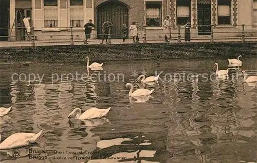 AK / Ansichtskarte Bruges_Brugge_Flandre Quai Long et Cygnes 