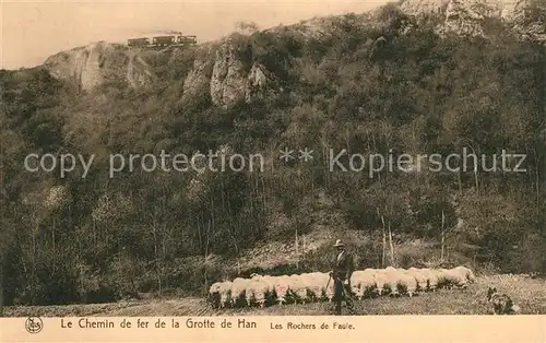 AK / Ansichtskarte Han_Namur Le Chemin de fer de la Grotte de Han Les Rochers de Faule Han_Namur
