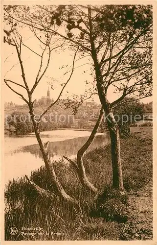 AK / Ansichtskarte Florenville Paysage sur la Semois Florenville