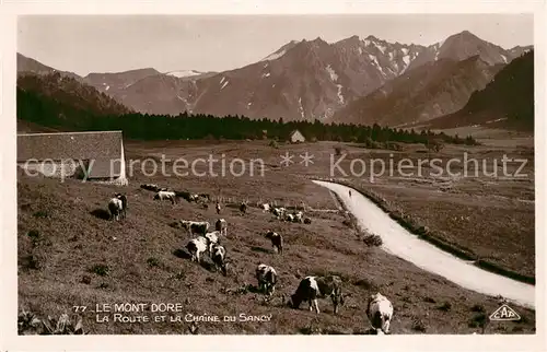 AK / Ansichtskarte Le_Mont Dore_Puy_de_Dome Panorama Route et la Chaine du Sancy Le_Mont Dore_Puy_de_Dome