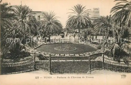Tunis Parterre de lAvenue de France Tunis