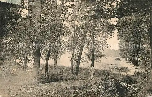 Chelles_Seine et Marne Waldpartie Chelles_Seine et Marne