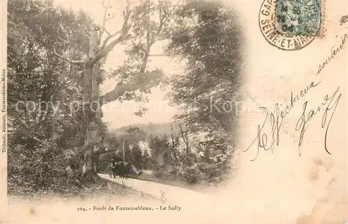 Fontainebleau_Seine_et_Marne Le Sully Fontainebleau_Seine