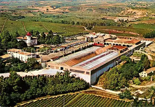 Cavas_Codorniu Vue aerienne Cavas Codorniu