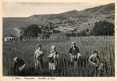 San_Remo Panorama Raccolta di fiori San_Remo