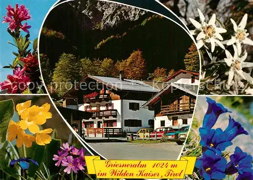 AK / Ansichtskarte Kirchdorf_Tirol Unterkunftshaus Griesneralm Naturschutzgebiet Wilder Kaiser Alpenflora Edelweiss Blauer Enzian Kirchdorf Tirol