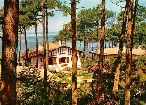 Bassin_d_Arcachon Dans les dunes du Pilat Chalet dans la foret de pins Bassin_d_Arcachon