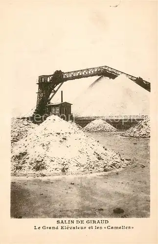 Salin de Giraud Le Grand Elevateur et les Camelles 