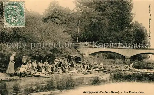 Revigny aux Vaches Les Poules d eau 
